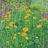 Achillea Signed Edition Print-Susan Entwistle