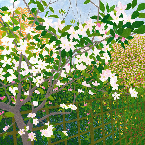 Apple Blossom Signed Edition Print-Susan Entwistle