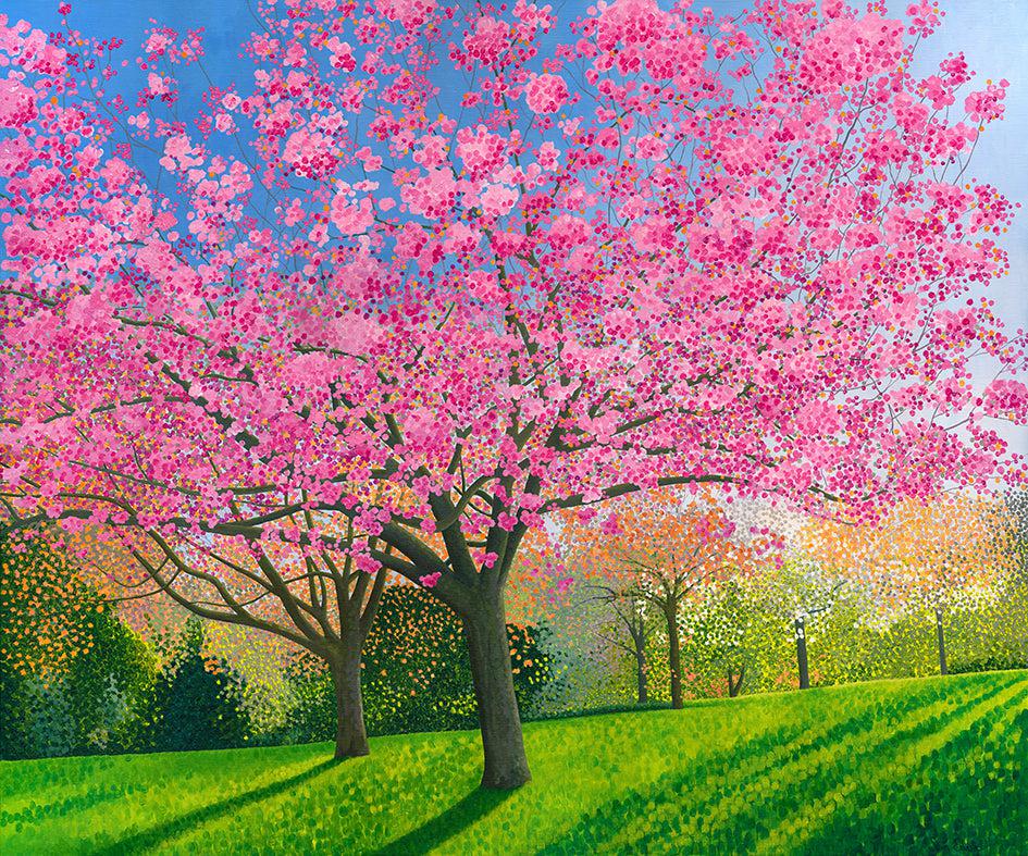 Blossom at the Arboretum Limited Edition Print-Susan Entwistle