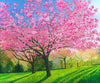 Blossom at the Arboretum-Susan Entwistle