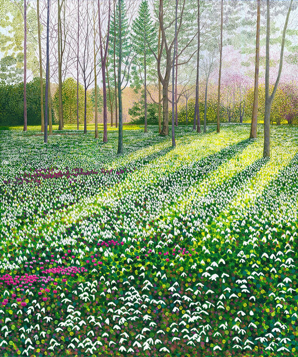 Snowdrops & Cyclamen Limited Edition Print-Susan Entwistle