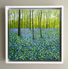 Springtime Bluebells-Susan Entwistle