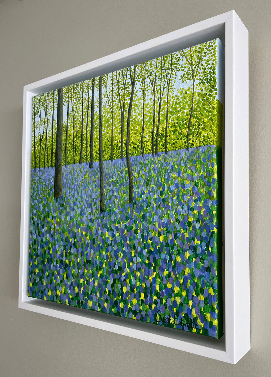 Springtime Bluebells-Susan Entwistle