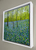 Springtime Bluebells-Susan Entwistle