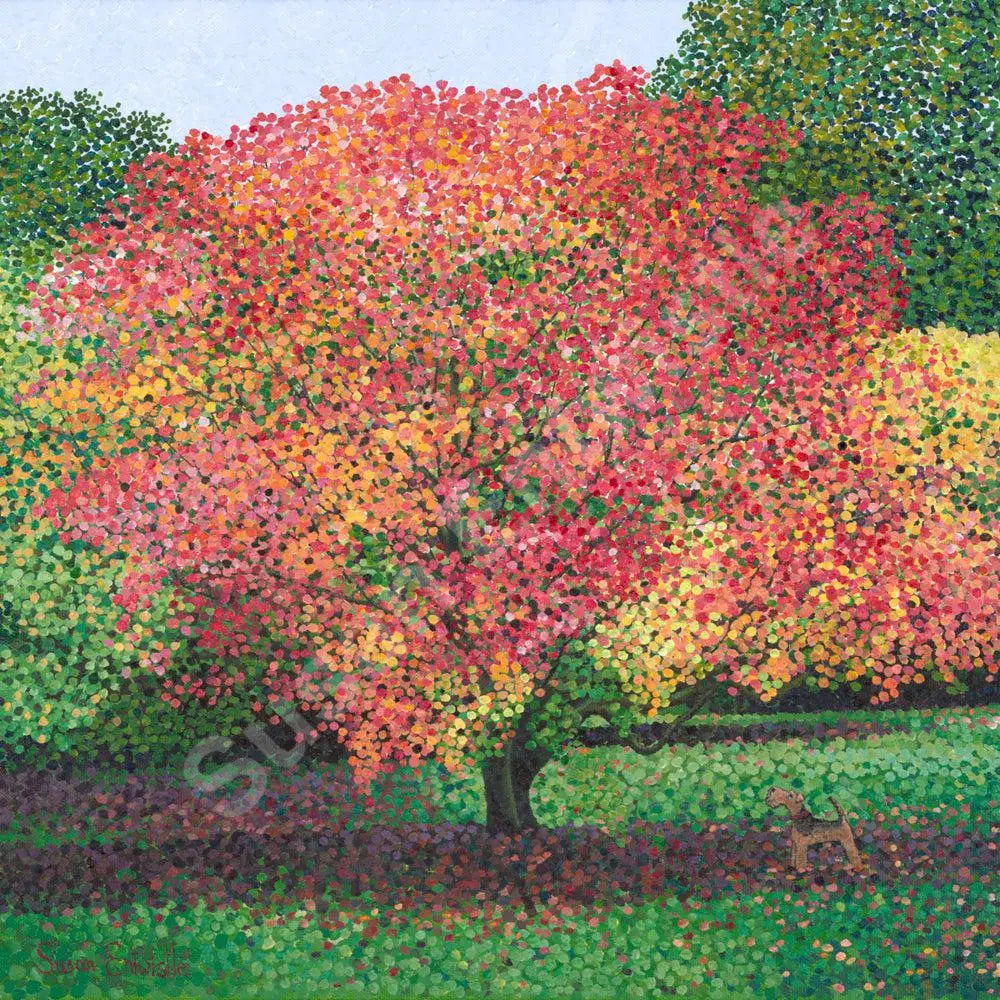 Acer Westonbirt Limited Edition Print-Susan Entwistle