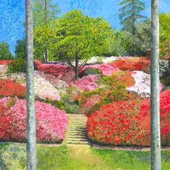 Azaleas Punchbowl Limited Edition Print-Susan Entwistle