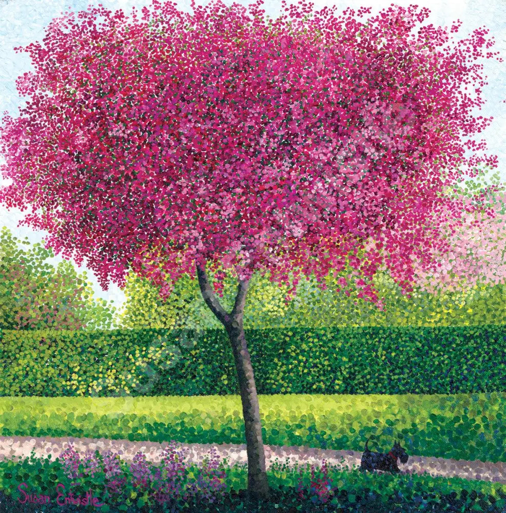 Crab Apple Blossom Limited Edition Print-Susan Entwistle