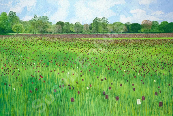 Fritillary Meadow Limited Edition-Susan Entwistle