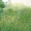 Harlow Carr Grasses Limited Edition Print-Susan Entwistle