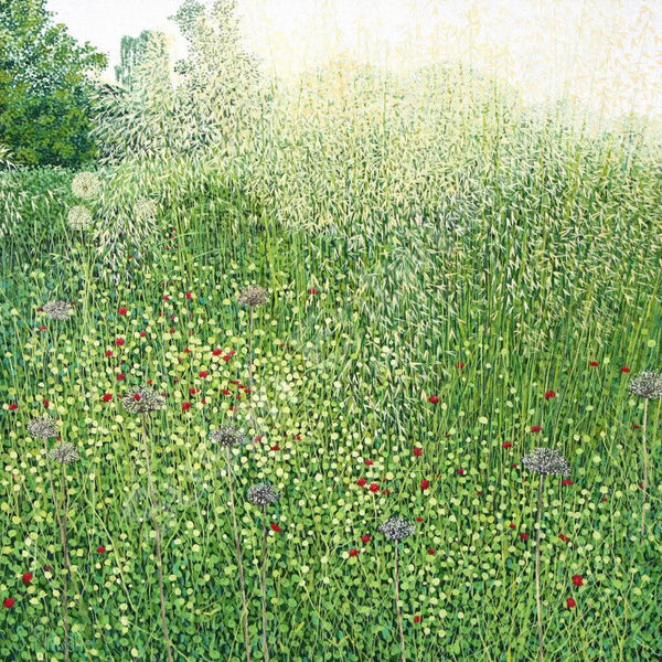 Harlow Carr Grasses Limited Edition Print-Susan Entwistle