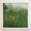 Harlow Carr Grasses Limited Edition Print-Susan Entwistle