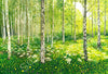 Silver Birch Copse Limited Edition-Susan Entwistle