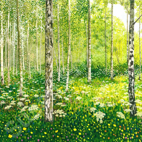 Silver Birch Copse Limited Edition-Susan Entwistle