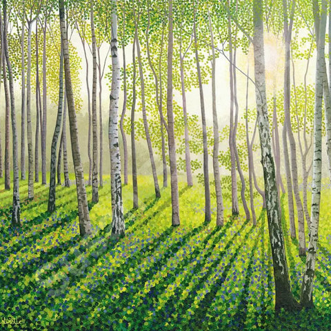 Silver Birch II Limited Edition Print-Susan Entwistle