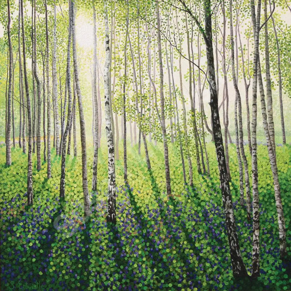 Silver Birch Woods Limited Edition Print-Susan Entwistle