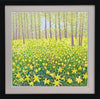 Woodland Daffodils Signed Edition Print-Susan Entwistle