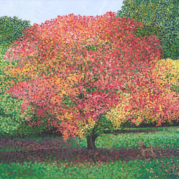 Acer Westonbirt Card-Susan Entwistle