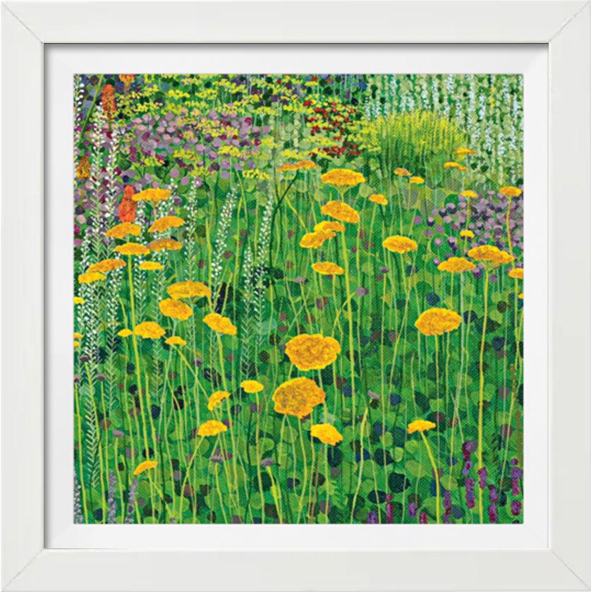 Achillea Signed Edition Print-Susan Entwistle