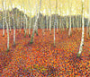 Autumn Birch Limited Edition Print-Susan Entwistle