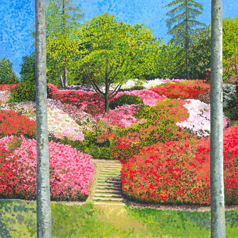 Azaleas Punchbowl Limited Edition Print-Susan Entwistle