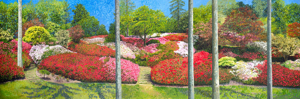 Azaleas Punchbowl Limited Edition Print-Susan Entwistle