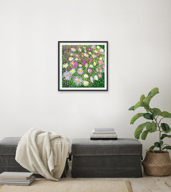 Asters Signed Edition Print-Susan Entwistle