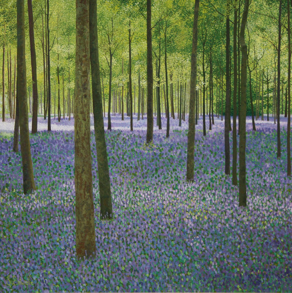 Bluebell Woods Card-Susan Entwistle