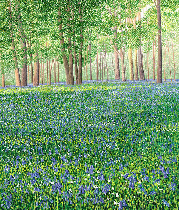 Bluebell Woods II Limited Edition Print.-Susan Entwistle