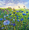 Cornflowers-Susan Entwistle