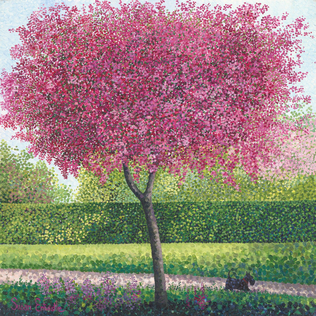 Crab Apple Blossom Card-Susan Entwistle