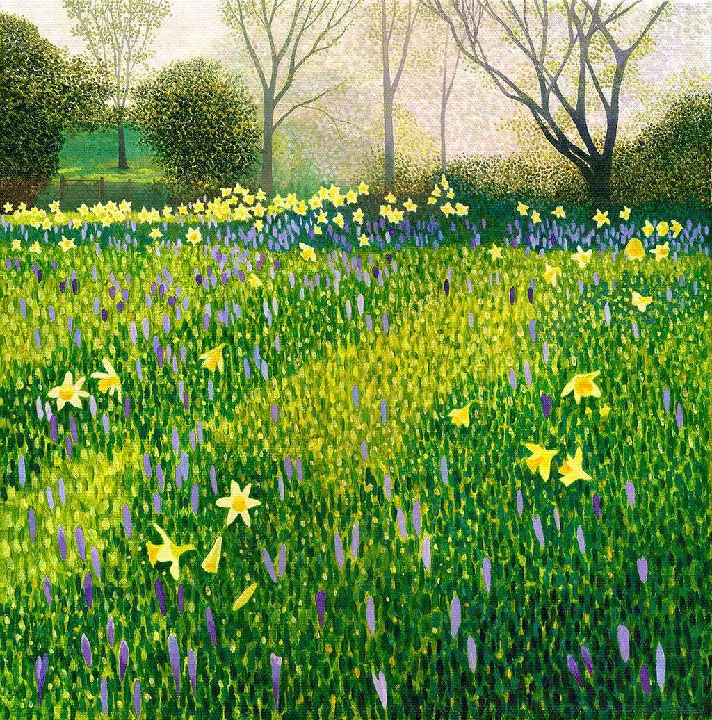 Crocus & Daffodils-Susan Entwistle