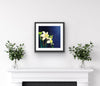 Daffodils Polar Hunter Signed Edition Print-Susan Entwistle