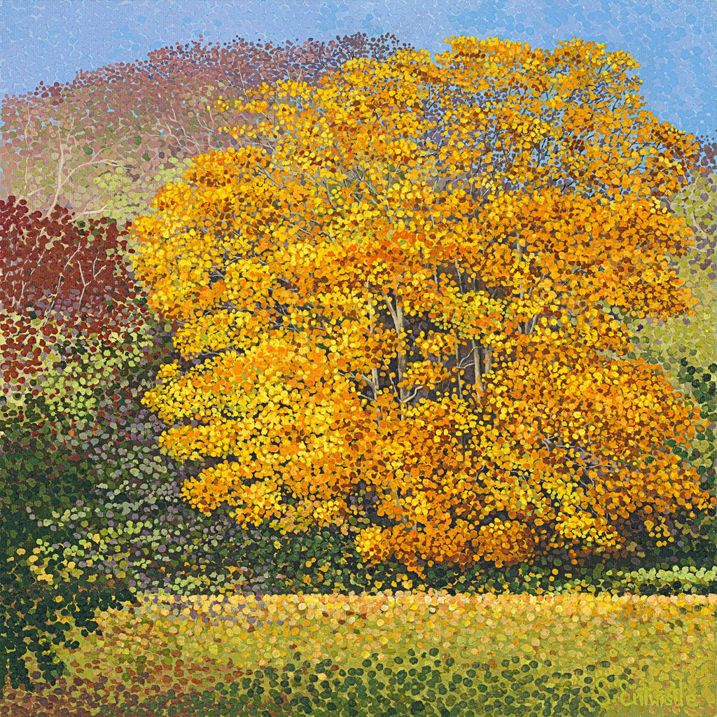 Field Maple Limited Edition Print-Susan Entwistle