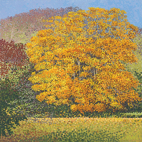 Field Maple Card-Susan Entwistle