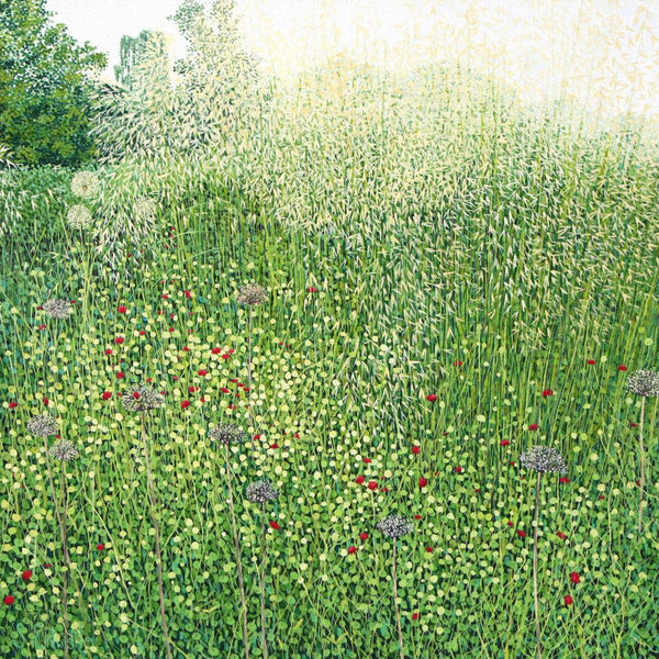 Harlow Carr Grasses Card-Susan Entwistle