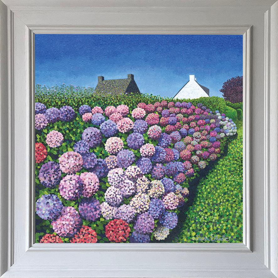 Hydrangeas in Vannes-Susan Entwistle