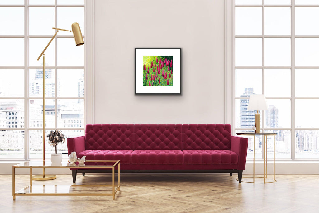 Peppermintstick Tulips Limited Edition Print-Susan Entwistle