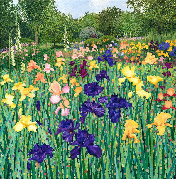 Irises Limited Edition Print-Susan Entwistle