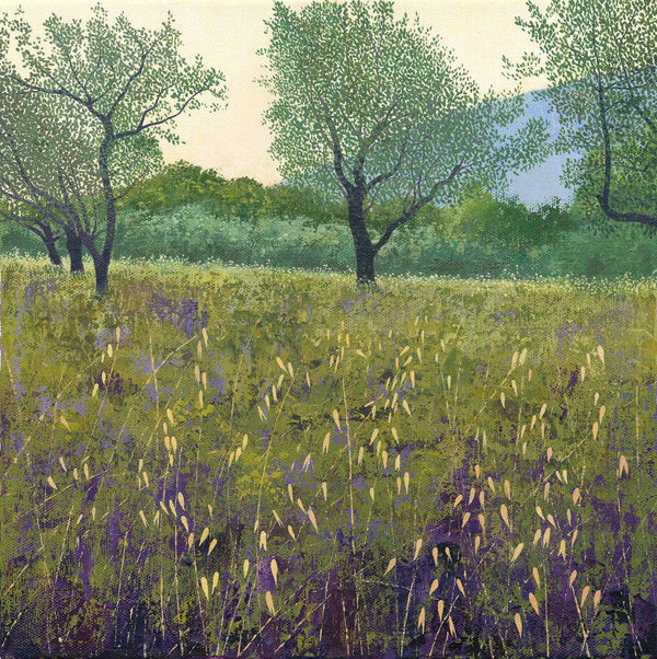 Olive Trees - SOLD-Susan Entwistle