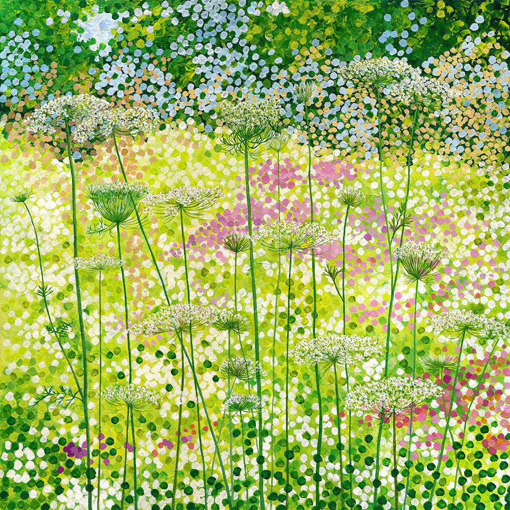 Queen Anne's Lace Signed Edition Print-Susan Entwistle