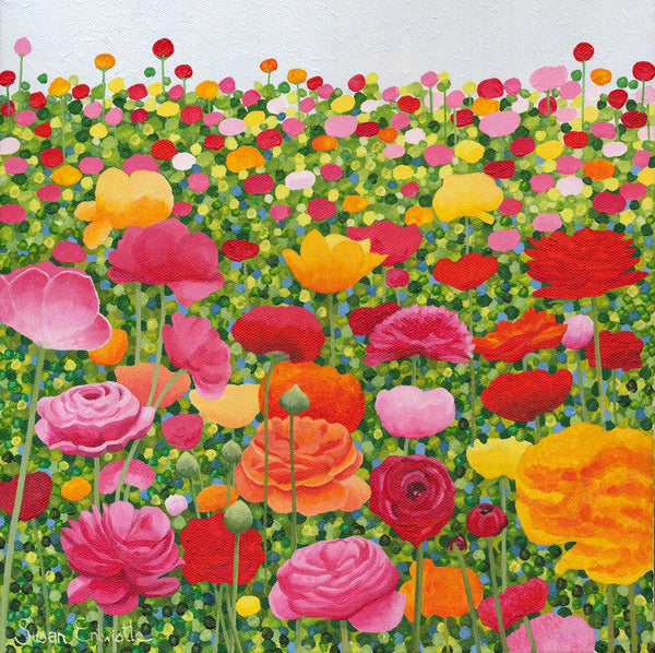 Ranunculus card-Susan Entwistle