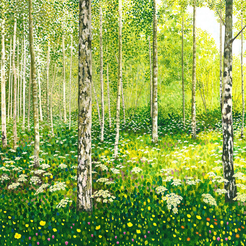 Silver Birch Copse Limited Edition-Susan Entwistle