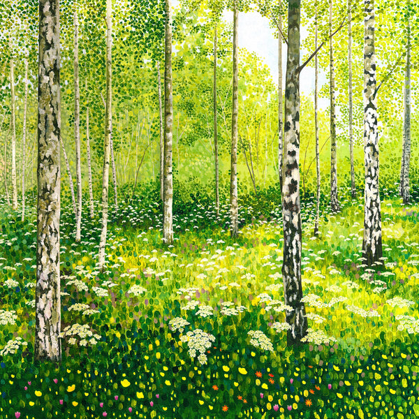 Silver Birch Copse - Greetings Card-Susan Entwistle