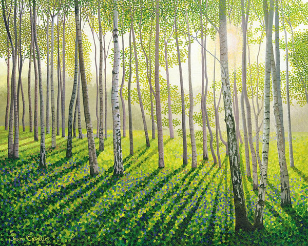 Silver Birch II Limited Edition Print-Susan Entwistle