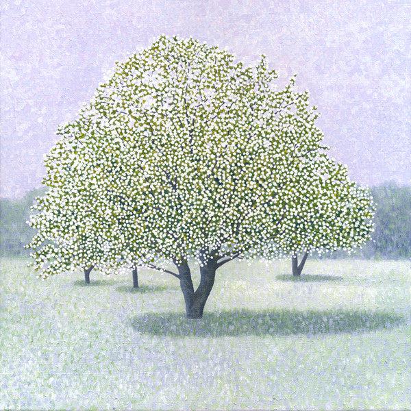 Snow Crab Apple-Susan Entwistle