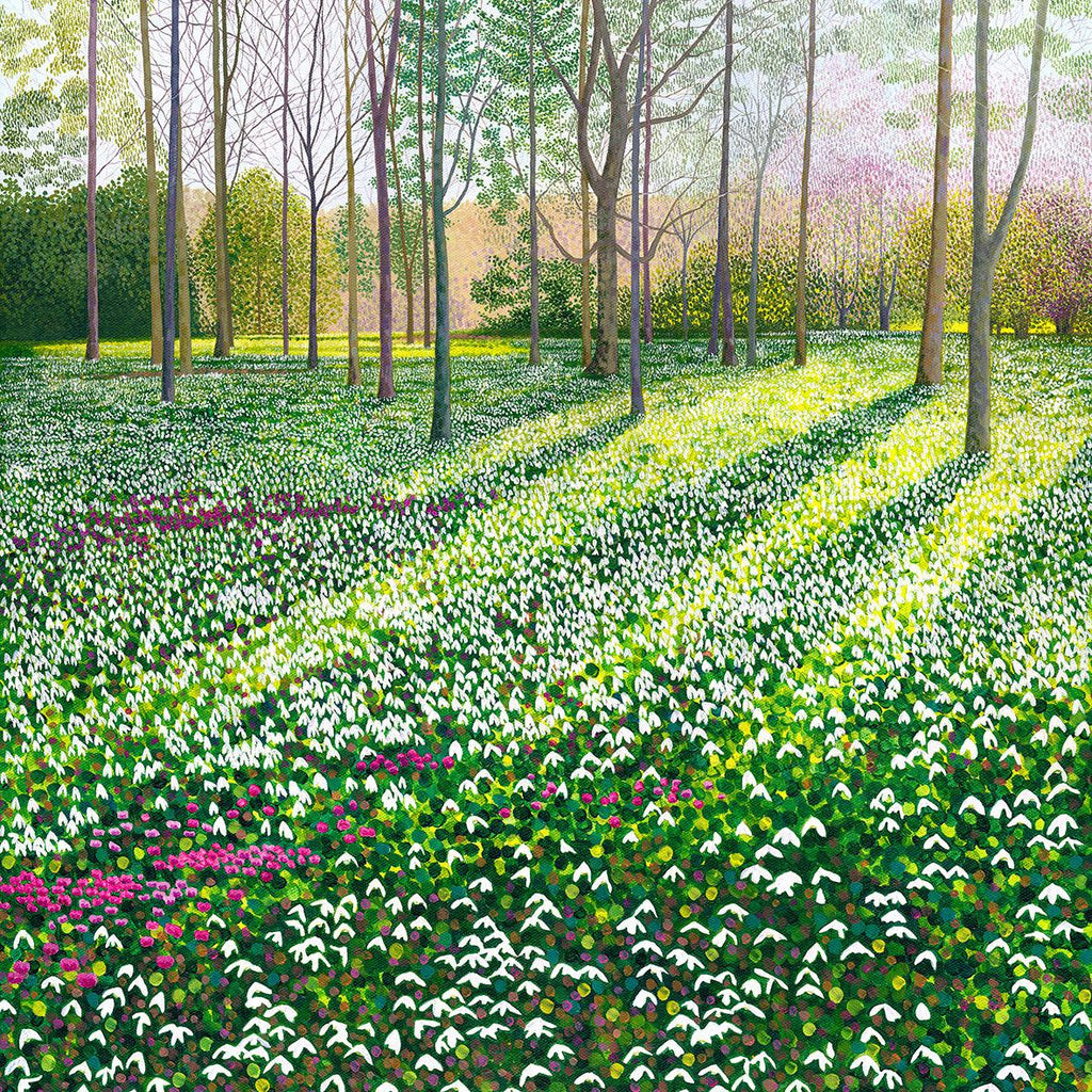 Snowdrops & Cyclamen - Greetings Card-Susan Entwistle