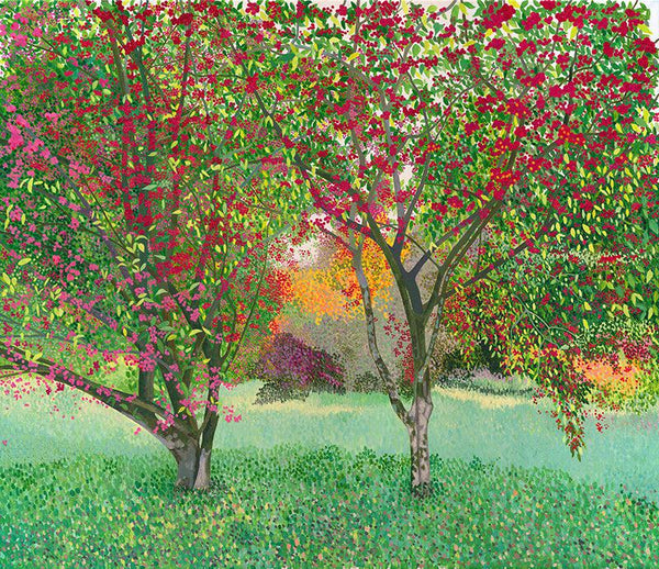 Spindle Trees-Susan Entwistle