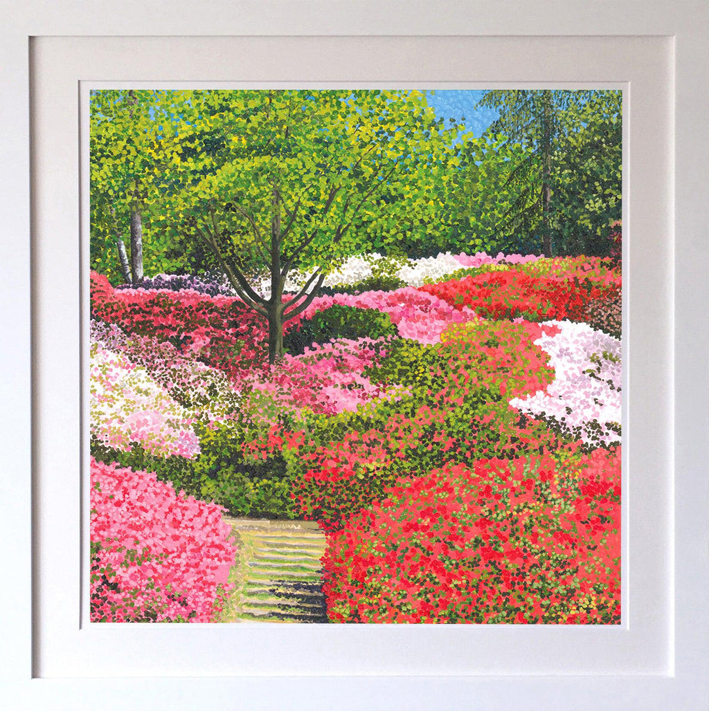 Azaleas Signed Edition Print-Susan Entwistle