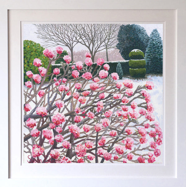 Winter Viburnum Signed Edition Print-Susan Entwistle