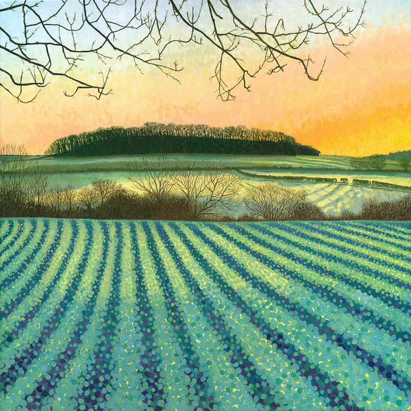 Sunrise - Greetings Card-Susan Entwistle